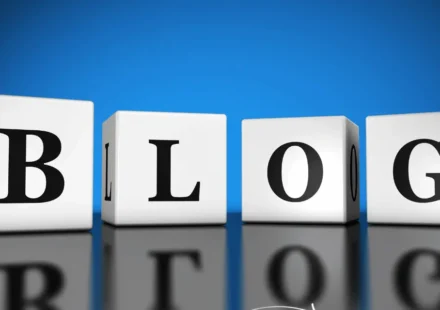 Blog Niche