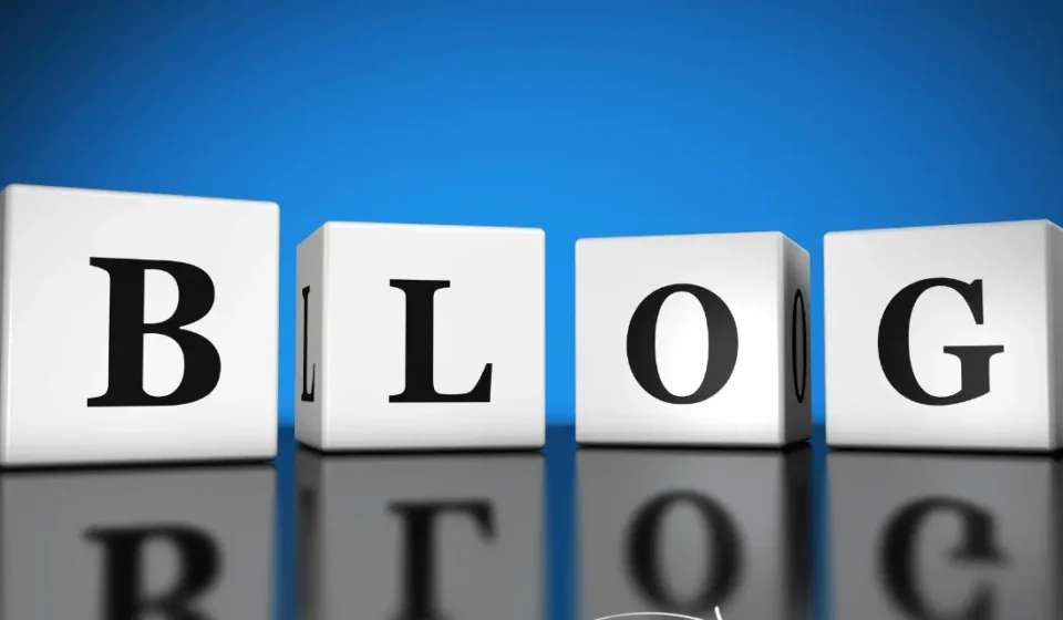 Blog Niche