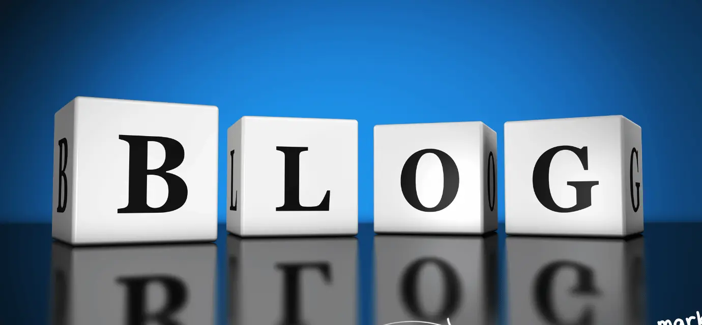 Blog Niche